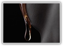 dd363a651547d7f3b479dfc888322dcf126668232552768854