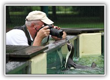 fotospaziergang im tierpark